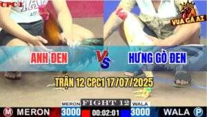 Trận 12 CPC1 17/7/2025 - Đám Điều Anh Đen Đâm Đối Thủ Không Kịp Gỡ Cựa