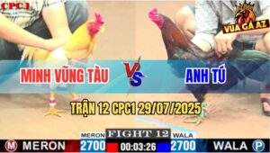 Trận 12 CPC1 29/7/2025 - Khét Anh Minh Vô Nước Khuya Tải Cựa Bao Phê