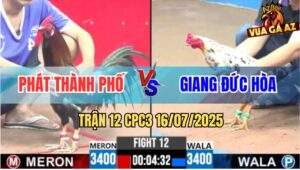Trận 12 CPC3 16/7/2025 - Bướm Hiệu Anh Giang Đá Điều Mặt Râu Bại Liệt