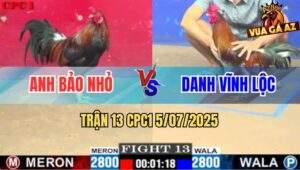 Trận 13 CPC1 5/7/2025 - Anh Danh Vĩnh Lộc Đi 2 Con Gãy 1 Cặp