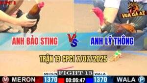 Trận 13 CPC1 7/7/2025 - Anh Bảo Sting Và Lý Thông Bất Phân Tháng Bại