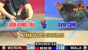 Trận 14 CPC1 5/7/2025 - Gà Anh Luân Có Chân Xạo Lờ Hạ Gà GVUI.COM