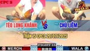 Trận 15 CPC2 20/7/2025 - Gà Cú Chú Liêm Xử Gà Điều Anh Tèo Nhanh Gọn