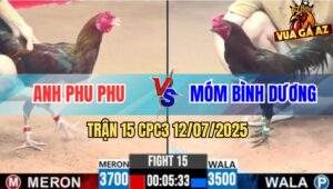 Trận 15 CPC3 12/7/2025 - Gà Anh Phu Phu Đá Xanh Té Lên Bờ Xuống Ruộng