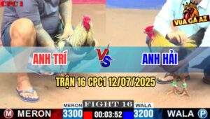 Trận 16 CPC1 12/7/2025 - Chuối Đen Anh Trí Hạ Sát Xám Chuối Anh Hải