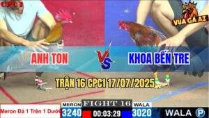 Trận 16 CPC1 17/7/2025 - Gà Xám Anh Ton Lên 2 Dí Đối Thủ Chạy Mất Dép