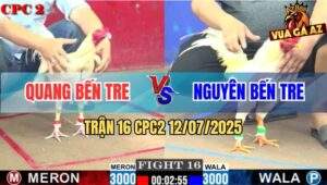 Trận 16 CPC2 11/7/2025 - Úa Chân Vàng Anh Nguyên Đâm Cựa Quá Dính