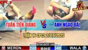 Trận 16 CPC2 2/7/2025 - Anh Ngao Bái Sửa Gà Lật Kèo Kinh Điển