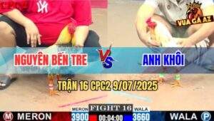 Trận 16 CPC2 9/7/2025 - Chuối Vàng Anh Nguyên Đâm Bướm Đứng Không Nổi