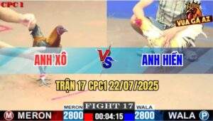 Trận 17 CPC1 22/7/2025 - Bướm Anh Hiền Đá Mỹ Mắt Đen Anh Xô Tắt Thở