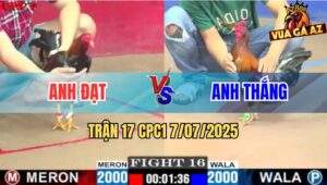 Trận 17 CPC1 7/7/2025 - Điều Anh Thắng Đá Bến Thế Canh Chặn Quá Khéo