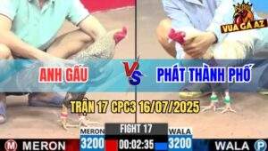 Trận 17 CPC3 16/7/2025 - Cú Bắt Bướm Không Thành Bướm Xử Cú Nằm Đống