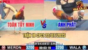 Trận 18 CPC1 22/7/2025 - Anh Toàn Tây Ninh Và Anh Phát
