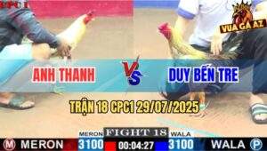 Trận 18 CPC1 29/7/2025 - Bướm Anh Thanh Có Chân Cứu Chủ Phản Ăn 2