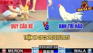 Trận 18 CPC2 20/7/2025 - Bướm Anh Trí Hào Hạ Khét Simon Trong Một Tăng