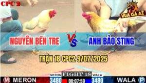 Trận 18 CPC2 9/7/2025 - Khét Sữa Bảo Sting Gặp Cọp 3 Đá Sách Đuôi Về