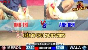 Trận 19 CPC1 24/7/2025 - Bướm Anh Đen Đâm Bướm Anh Trí Tốc Chạy