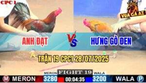 Trận 19 CPC1 28/7/2025 - Gà Khét Anh Hưng Gò Đen Chịu Đấm Ăn Xôi