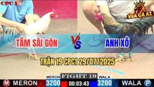 Trận 19 CPC1 29/7/2025 - Úa Cọp Anh Tâm Đâm Chuối Đen Bò Lê Bò Càng