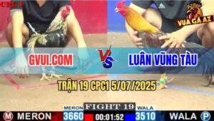 Trận 19 CPC1 5/7/2025 - Gà Chuối GVUI.COM Chuyển Bại Thành Thắng