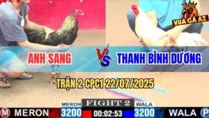 Trận 2 CPC1 22/7/2025 - Úa Anh Thanh Đá Gà Chuối Anh Sang Đứng 1 Giò
