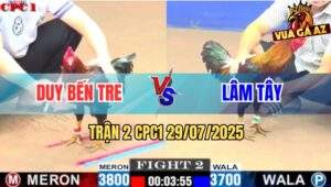 Trận 2 CPC1 29/7/2025 - Anh Duy Bến Tre Đụng Anh Lâm Tây