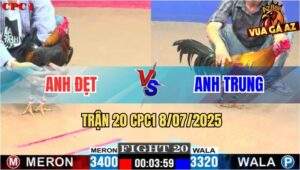 Trận 20 CPC1 8/7/2025 - Que Anh Đẹt Quá Trâu Đối Thủ Đâm Không Xi Nhê