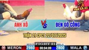 Trận 21 CPC1 22/7/2025 - Điều Nhập Anh Xô Táng Bể Lưng Gà Úa