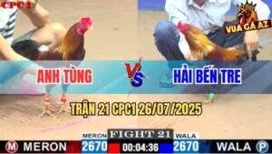 Trận 21 CPC1 26/7/2025 - Gà Vàng Đâm Quá Tịch Anh Tùng Buông Cờ Trắng