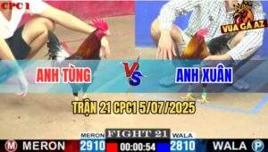 Trận 21 CPC1 5/7/2025 - Gà Điều Anh Xuân Đâm Chân Nào Dính Chân Đó
