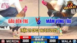 Trận 21 CPC3 16/7/2025 - Anh Gấu Bến Tre Gặp Anh Mắm Vũng Tàu