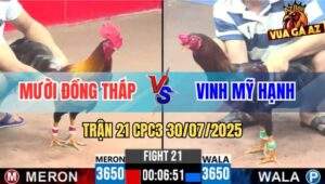 Trận 21 CPC3 30/7/2025 - Anh Mười Đồng Tháp Và Anh Vinh Mỹ Hạnh
