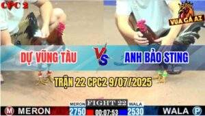 Trận 22 CPC2 9/7/2025 - Anh Bảo Sting Cáp Kèo Khó Bị Đá Tắt Điện