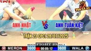 Trận 23 CPC1 28/7/2025 - Xám Cú Anh Tuấn Kiết Đâm Cựa Bao Dính