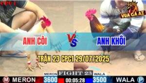 Trận 23 CPC1 29/7/2025 - Điều Xanh Anh Khôi Đá Cựa Như Súng Bắn