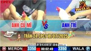 Trận 24 CPC1 19/7/2025 - Gà Cú Anh Củ Mì Bắt Hoa Bắt Bướm Không Thành