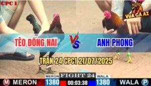 Trận 24 CPC1 21/7/2025 - Anh Tèo Đồng Nai Và Anh Phong