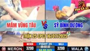 Trận 25 CPC3 16/7/2025 - Anh Mắm Vũng Tàu Gặp Anh Sỹ Bình Dương