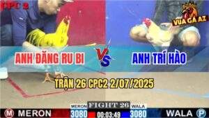 Trận 26 CPC2 2/7/2025 - Gà Vàng Anh Đăng Ru Bi Dính Đòn Tử Thần Gãy Cổ