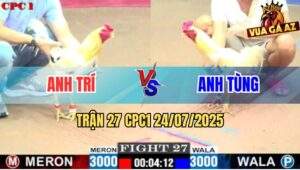 Trận 27 CPC1 24/7/2025 - Bướm Anh Trí Đâm Bướm Anh Tùng Bay Phấp Phới