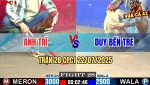 Trận 28 CPC1 22/7/2025 - Bướm Anh Duy Bến Tre Phản Tang Đá Điều Lật Xe