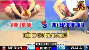 Trận 28 CPC1 28/7/2025 - Anh Thuận Đụng Anh Duy Em Đồng Nai