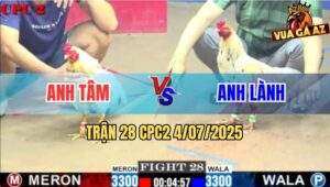 Trận 28 CPC2 4/7/2025 - Bướm Anh Lành Chặn Chân Nào Tiền Về Chân Đó