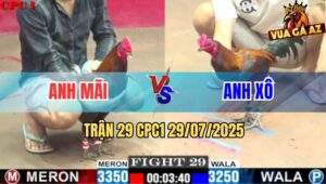 Trận 29 CPC1 29/7/2025 - Que Chân Chì Anh Xô Đá Toàn Đâm Đầu Cần