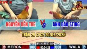 Trận 29 CPC2 20/7/2025 - Anh Bảo Sting Vừa Đổi Nài Là Lụm Kem Liền