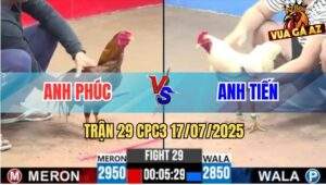 Trận 29 CPC3 17/7/2025 - Gà Anh Tiến Đá Gãy Cổ Gà Khét Sau 1 Tay Nước