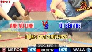 Trận 3 CPC1 21/7/2025 - Gà Mái Lại Anh Vũ Linh Đá Gãy Chổ Chuối Nhập