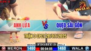 Trận 3 CPC1 28/7/2025 - Gà khét Anh Lửa Đá Toàn Đâm Đầu Cần
