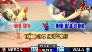 Trận 3 CPC2 16/7/2025 - Khét Sữa Nuốt Ói Hạ Bướm Hiệu Bảo Sting