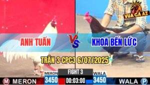 Trận 3 CPC3 6/7/2025 - Gà Anh Khoa Đá Bát 1 Hạ Đẹp Chú Khanh